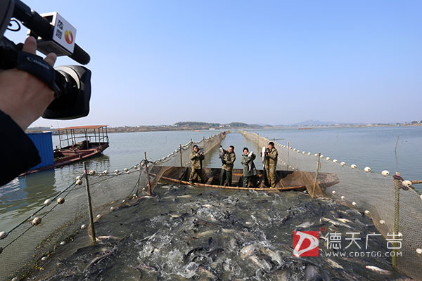 常德市德天廣告有限公司,品牌設(shè)計,活動策劃,影視攝制,廣告設(shè)備租賃,媒體廣告推廣,